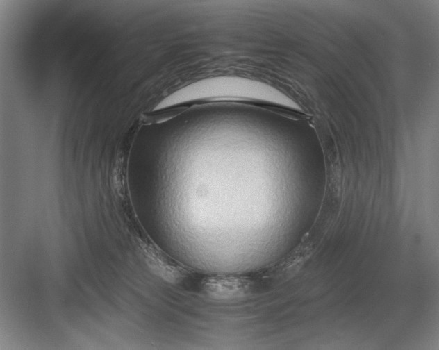 X0000082950181200702152249