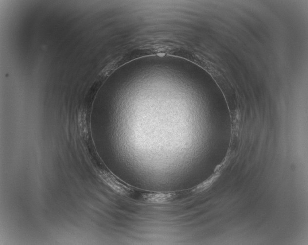 X0000082950182200702152249