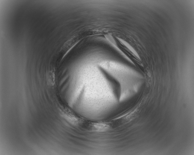 X0000082950183200702152249