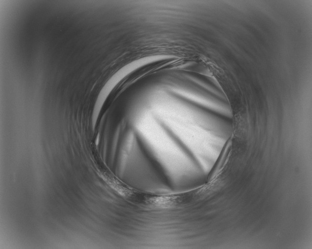 X0000082950184200702152249