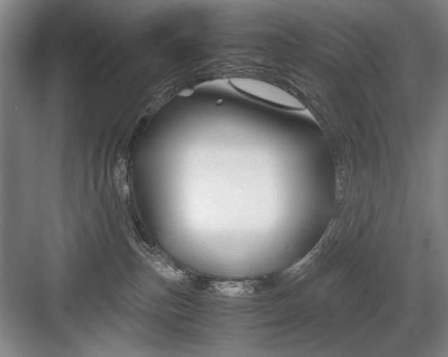 X0000082950187200702152249