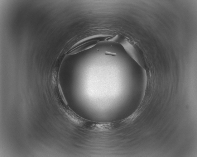 X0000082950188200702152249