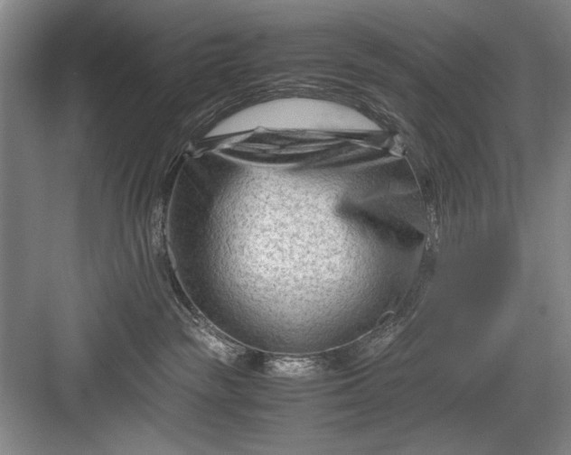 X0000082950189200702152249