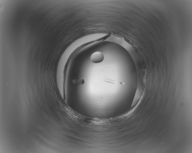 X0000082950190200702152249