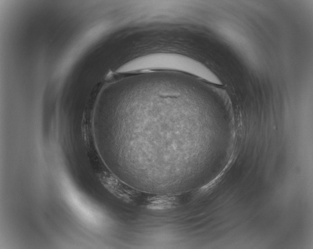 X0000082950191200702152249