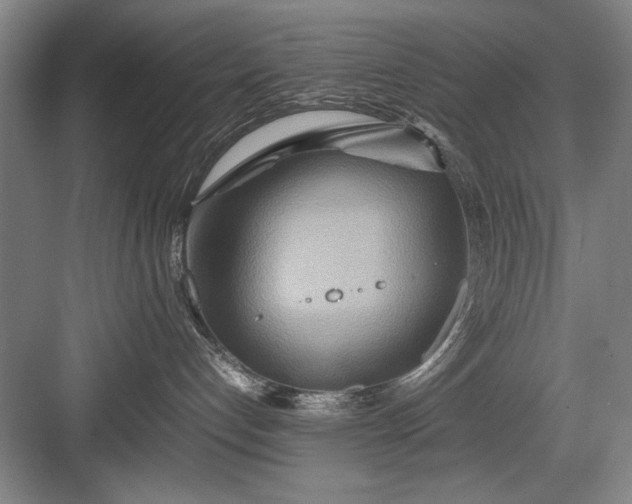 X0000082950192200702152249