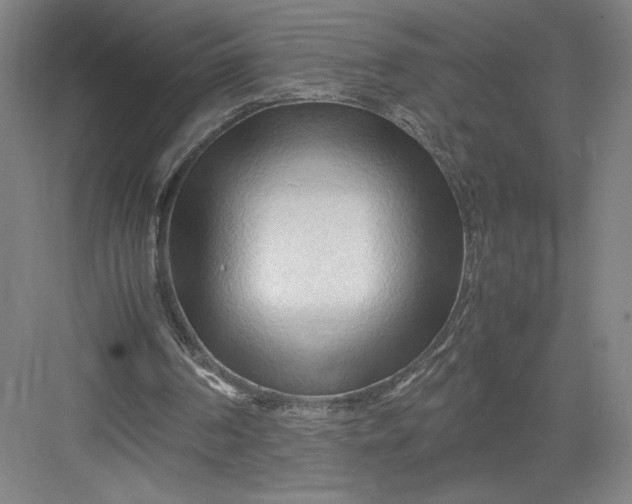 X0000082950194200702152249