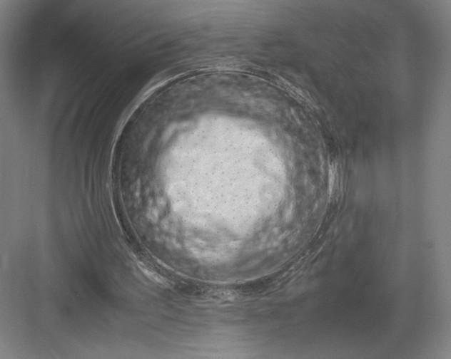 X0000082950195200702152249