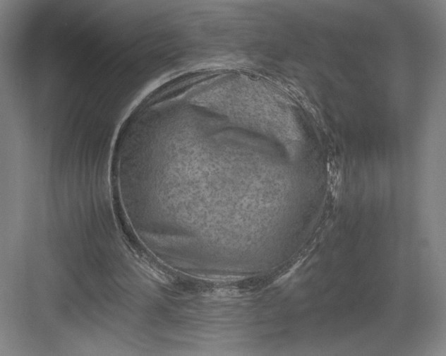 X0000082950196200702152249