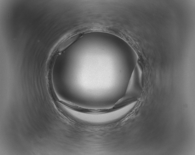 X0000082950197200702152248