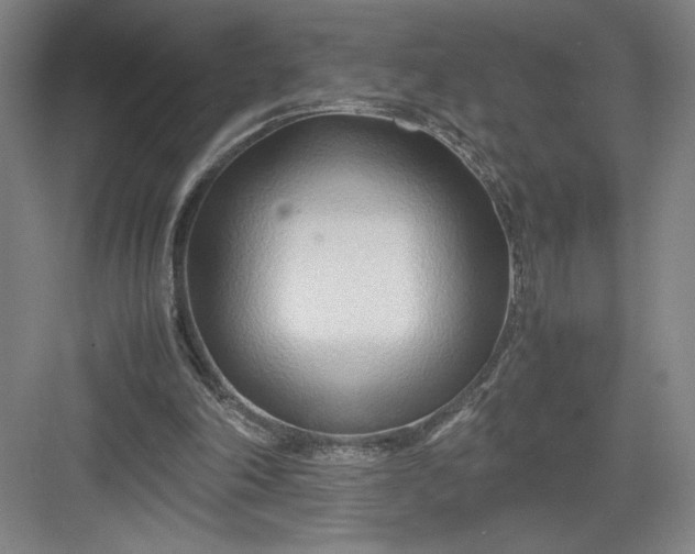 X0000082950198200702152248