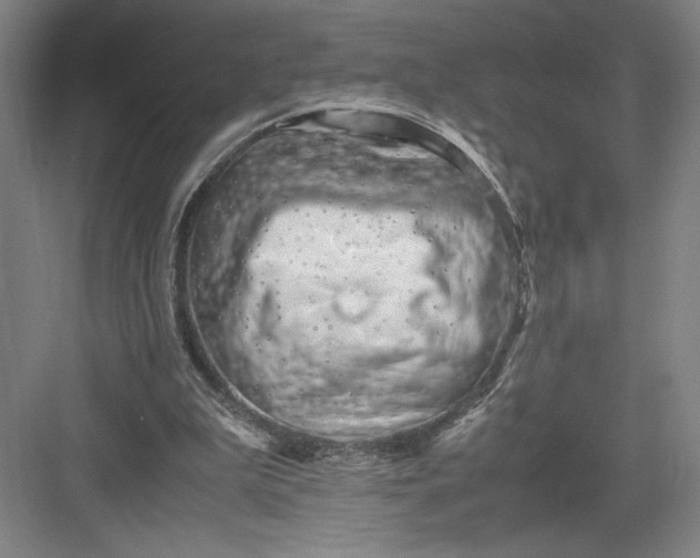 X0000082950199200702152248