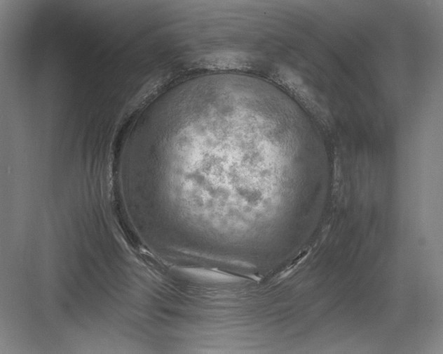 X0000082950202200702152248