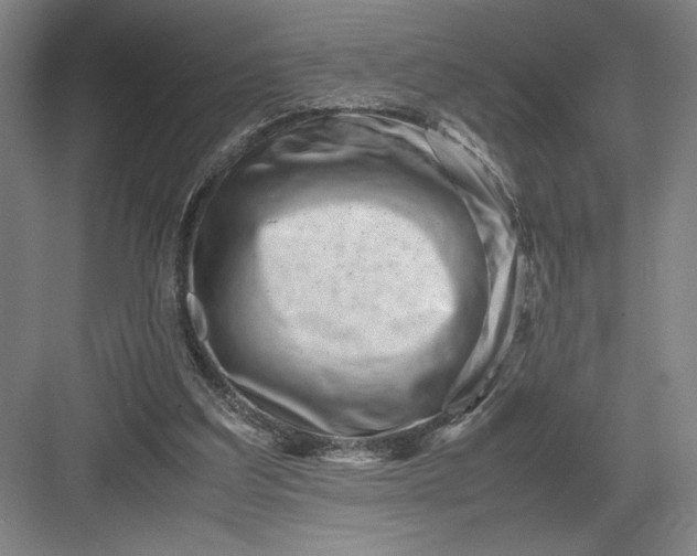 X0000082950203200702152248