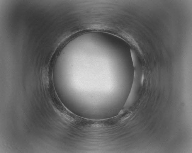 X0000082950204200702152248