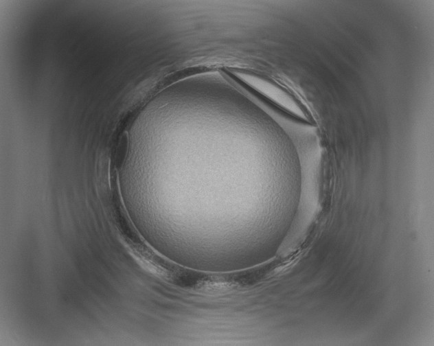 X0000082950205200702152248