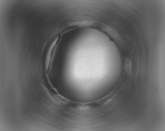 X0000082950206200702152248