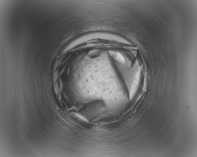 X0000082950207200702152248