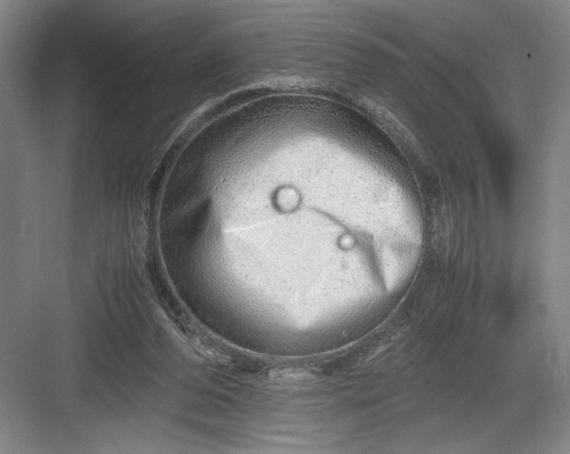 X0000082950208200702152248