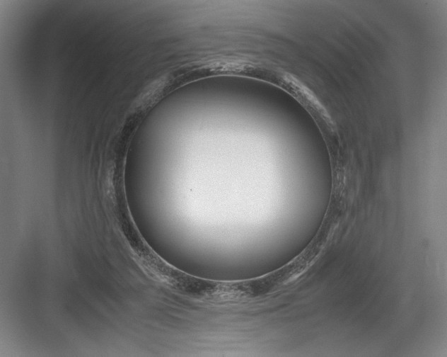 X0000082950209200702152248