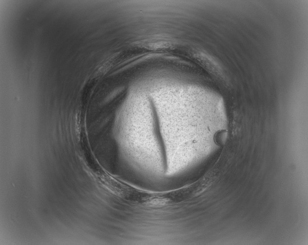 X0000082950210200702152248