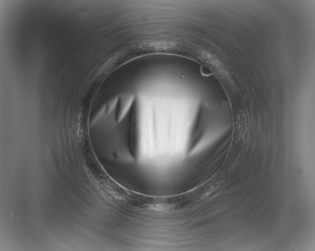 X0000082950212200702152248