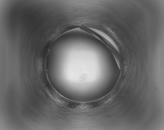 X0000082950213200702152248