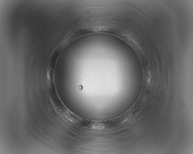 X0000082950214200702152248