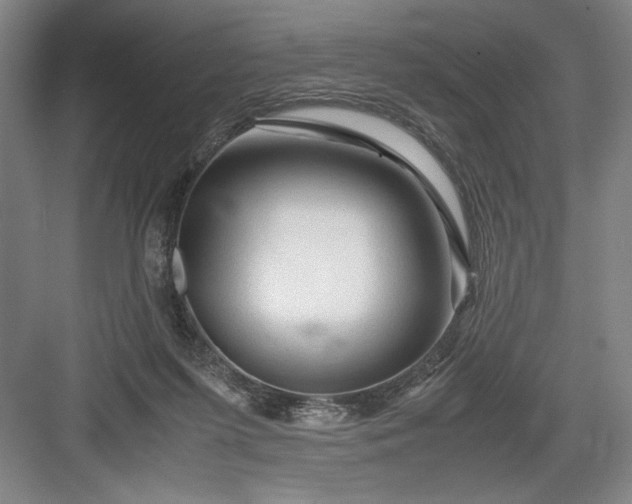 X0000082950215200702152248