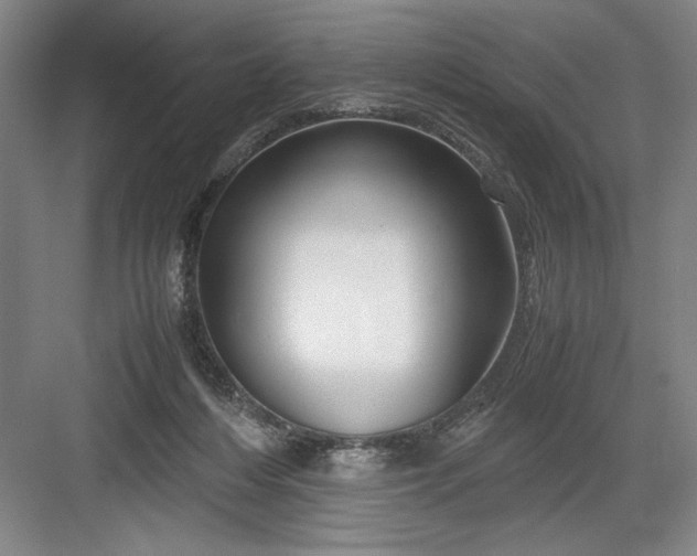 X0000082950216200702152248