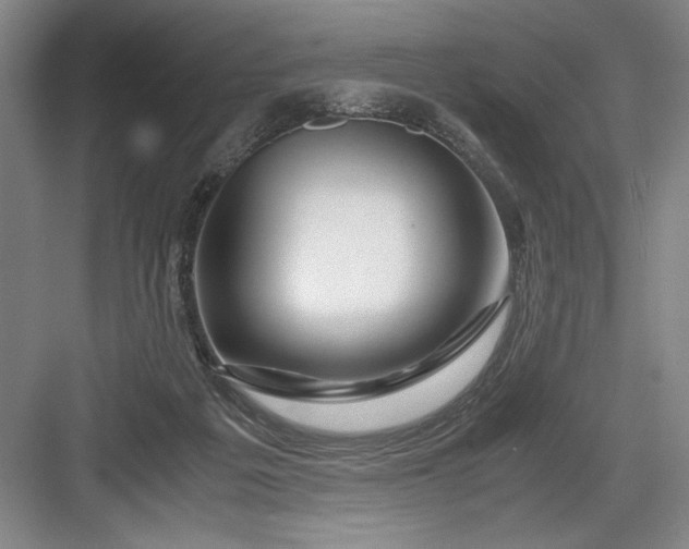 X0000082950217200702152248