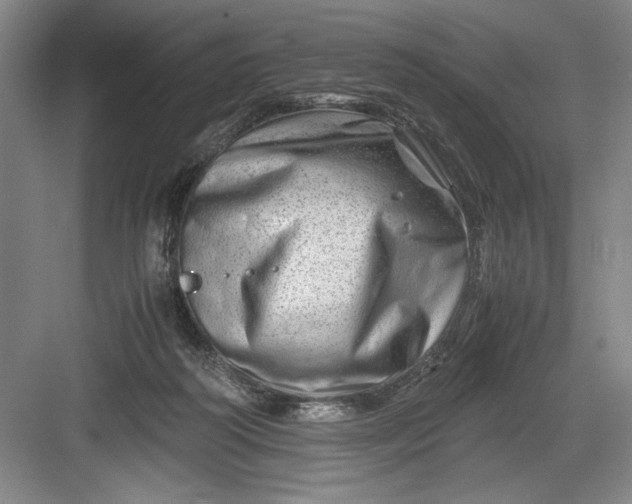 X0000082950218200702152248