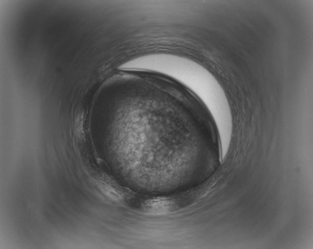 X0000082950219200702152248