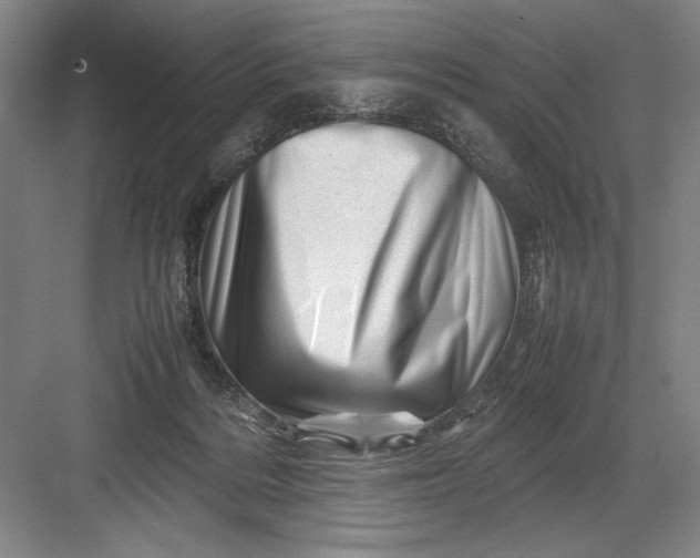 X0000082950220200702152248