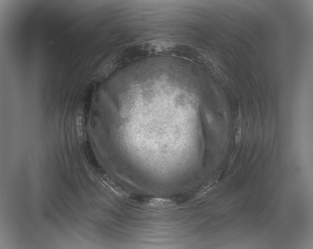 X0000082950222200702152248