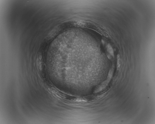 X0000082950223200702152248