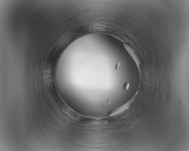 X0000082950224200702152248