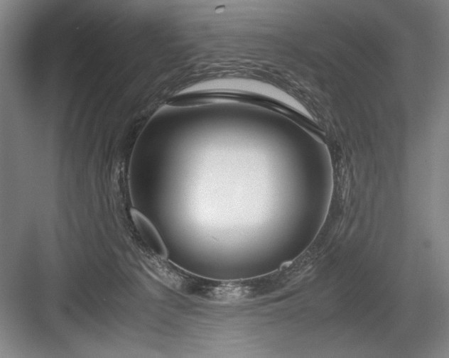 X0000082950225200702152248