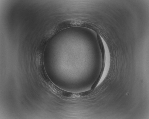 X0000082950227200702152248