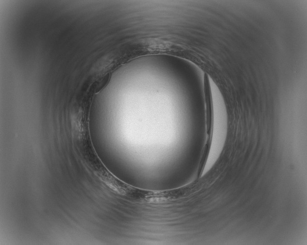 X0000082950228200702152248