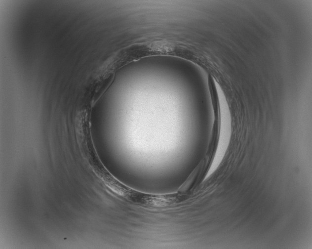 X0000082950229200702152248