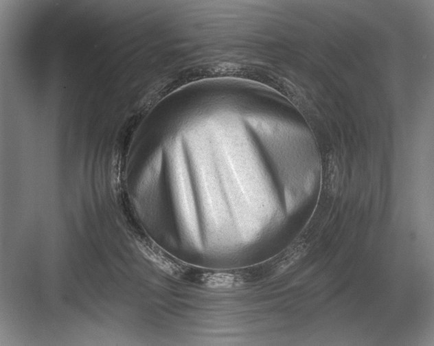 X0000082950230200702152248