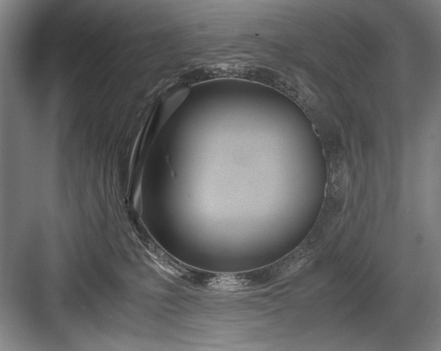 X0000082950231200702152248