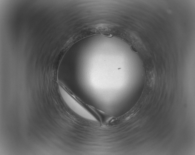 X0000082950232200702152248