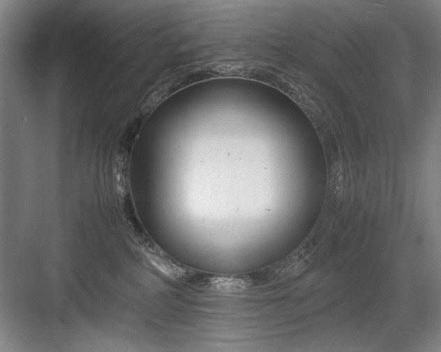 X0000082950234200702152248