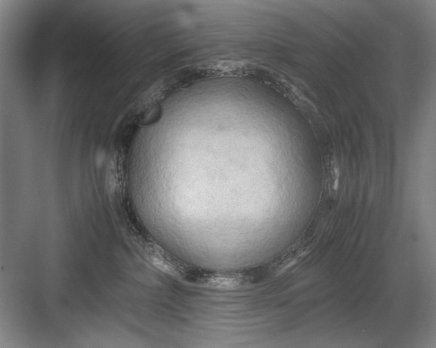 X0000082950236200702152248