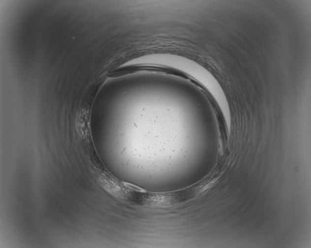 X0000082950237200702152248