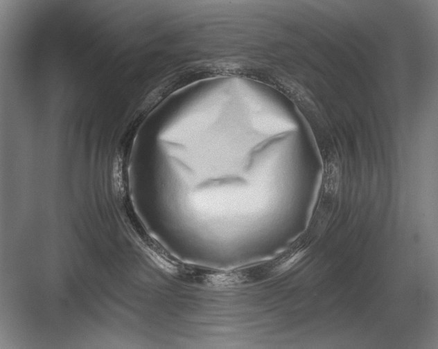 X0000082950238200702152248