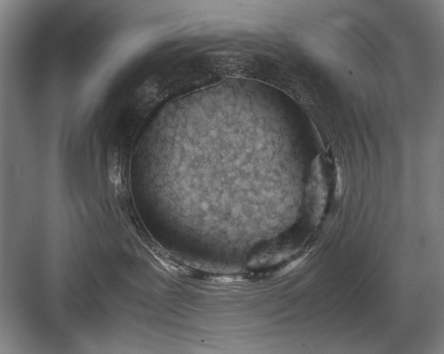 X0000082950239200702152248