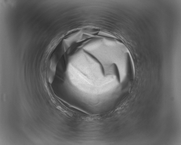 X0000082950241200702152247